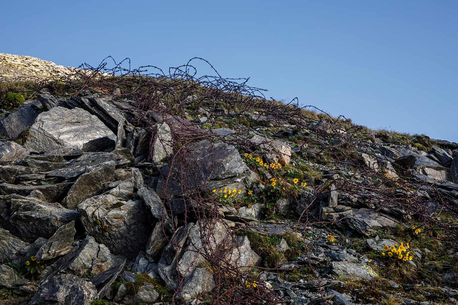 06grande-guerra-in-alta-valtellina